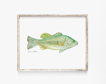 Watercolor Largemouth Bass Painting Giclee Reproduction Fine Art - Fishing Fisherman Wall Art Unframed