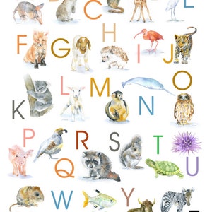 Alphabet Animals Watercolor Poster - 8 x 10 - Nursery Art - ABC wall art - 8.5 x 11 Animals Print UNFRAMED