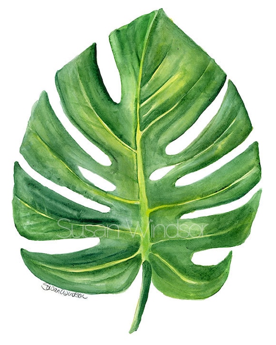 Monstera Leaf Watercolor Painting 5X7 Giclee Print Fine | Etsy