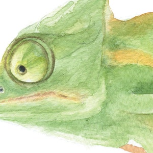 Chameleon Watercolor Painting Giclee Print Fine Art Watercolor 10 x 8 11 x 8.5 Lizard Art Reptile Painting Unframed image 3