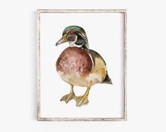 Wood Duck Watercolor Painting Giclee Print Reproduction Woodland Nursery Decor Unframed