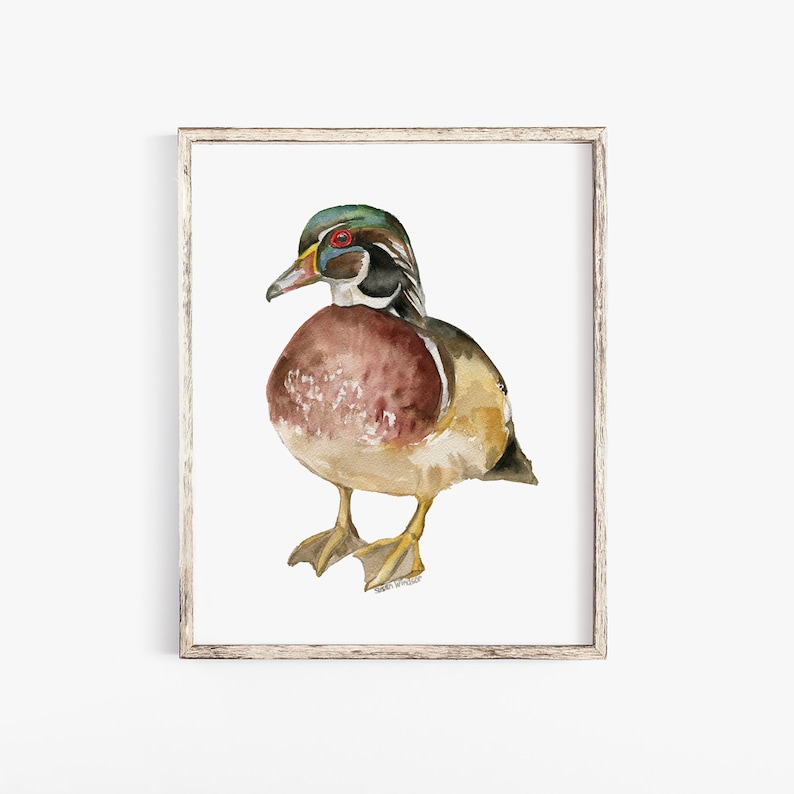 Wood Duck Watercolor Painting Giclee Print Reproduction Woodland Nursery Decor Unframed image 1