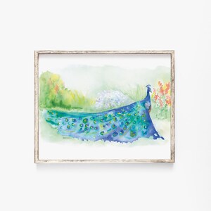 Peacock in the Garden Watercolor 7x5 in - Giclee Reproduction Bird Art - Bird Watcher Painting UNFRAMED