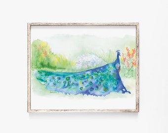May include: Watercolor painting of a peacock with its tail feathers spread out in a fan shape. The peacock is standing in a garden setting with green grass and flowers.