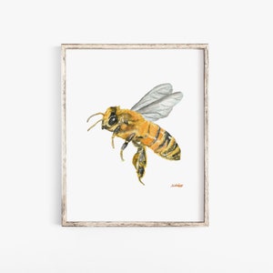 May include: Watercolor painting of a honeybee in flight. The bee is yellow and black with translucent wings. The painting is on a white background and framed in a light wood frame.