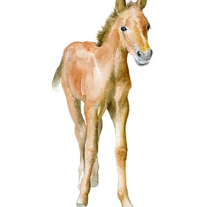 Horse Watercolor Painting Print Giclee Print Nursery Art Pony Colt Foal Art UNFRAMED image 2