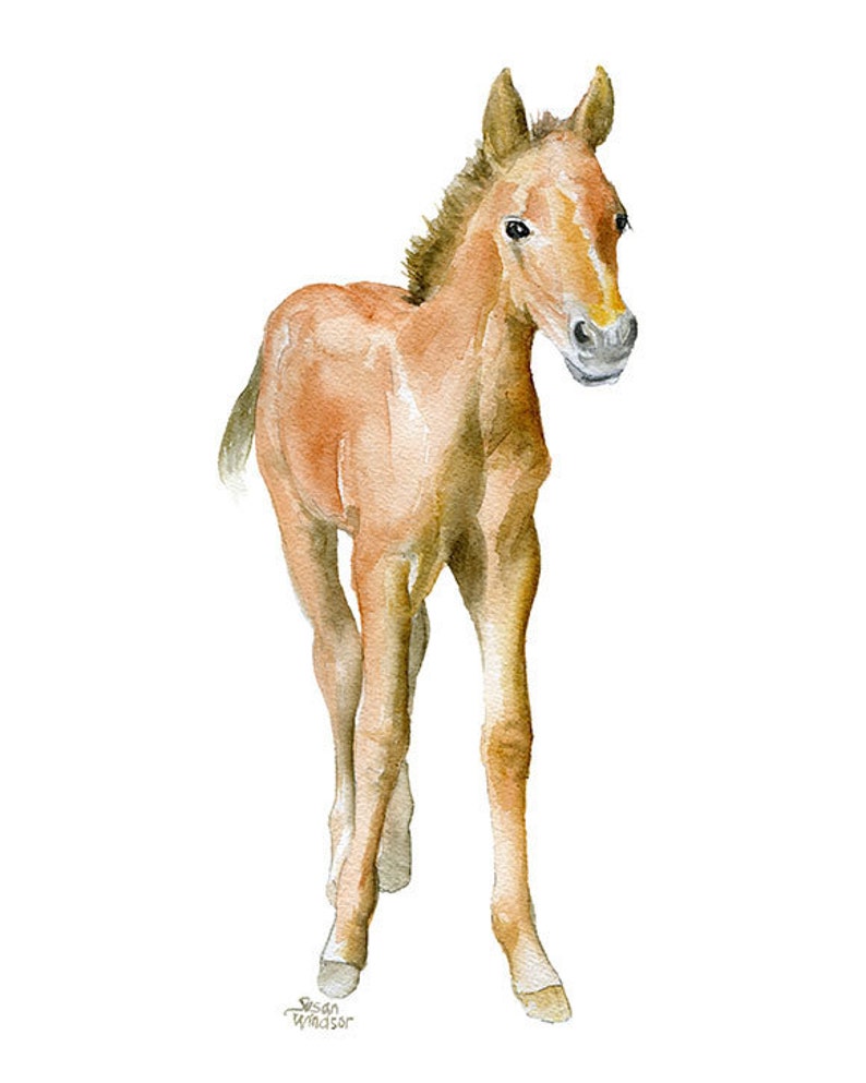 Horse Watercolor Painting Print Giclee Print Nursery Art Pony Colt Foal Art UNFRAMED image 2