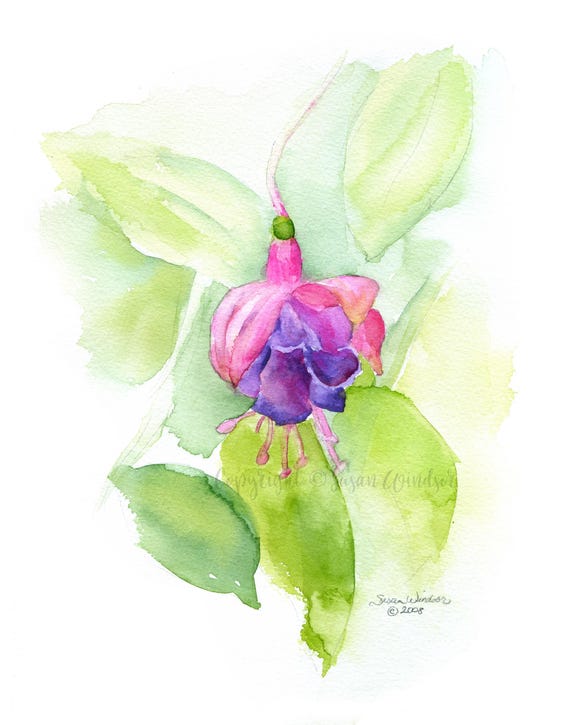 Fuchsia Flower Watercolor Painting Giclee Fine Art UNFRAMED - Etsy