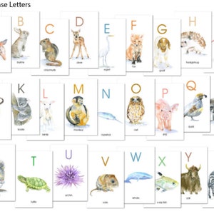 Animal Alphabet Flash Cards Watercolor Animals ABC Watercolor Flash Cards A-Z Upper Case Letters