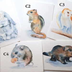 Watercolor Animal Cards Mix and Match Set of 8 image 3