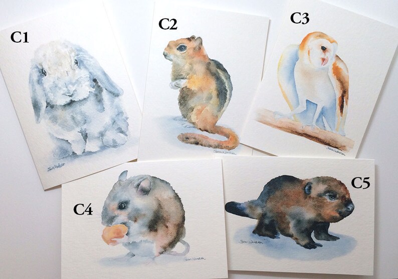 Watercolor Animal Cards Mix and Match Set of 8 image 3