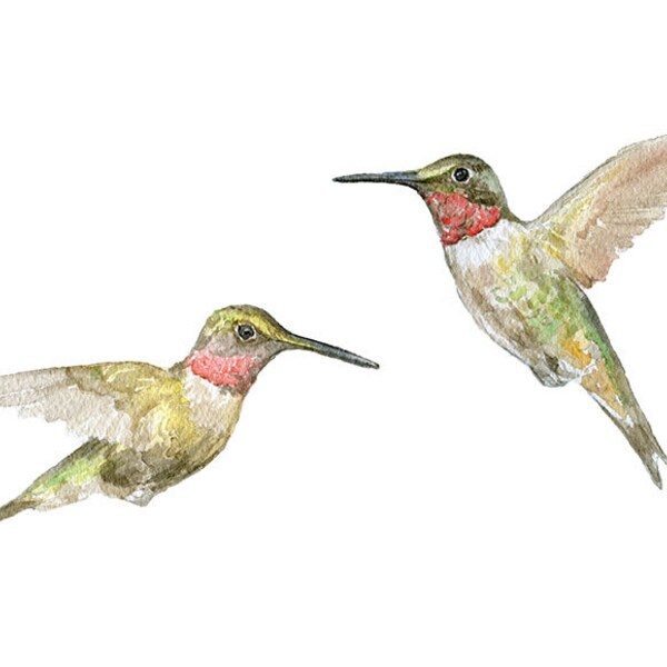 Hummingbirds Watercolor Painting Giclee Print Reproduction - Fine Art print - Bird Painting UNFRAMED