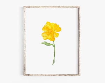 Yellow Buttercup Wildflower Watercolor Painting - Giclee Print - Unframed