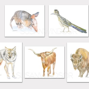 Watercolor Texas Animal Art Prints Western Childrens Room Set of 5 Armadillo Roadrunner Coyote Longhorn Bison Unframed