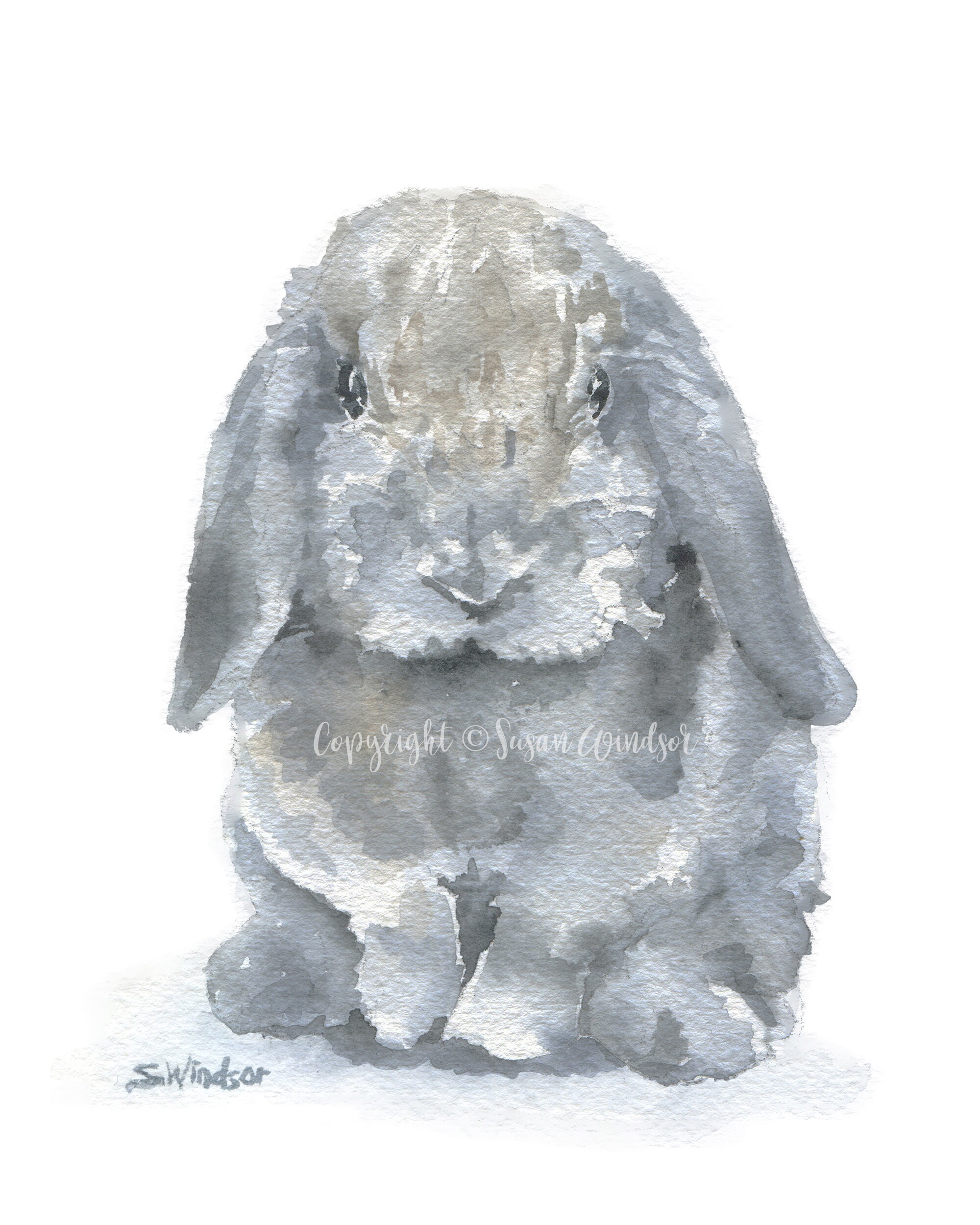 Our Bunnies - Happily Ever After Rabbitry, image size:2000x2500