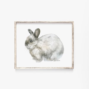 May include: Watercolor painting of a gray rabbit with brown ears and a black nose. The rabbit is sitting on a white background.