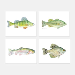 Watercolor Fish Art Print set of 4 — Bass, Perch, Trout, and Crappie Unframed- SMALL PRINTS SALE