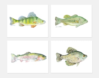 Watercolor Fish Art Print set of 4 — Bass, Perch, Trout, and Crappie Unframed