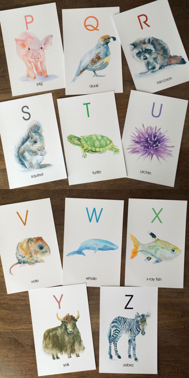 May include: A set of watercolour alphabet flashcards featuring animals. Each card displays a letter and an animal illustration, such as a pig, quail, raccoon, squirrel, turtle, urchin, vole, whale, x-ray fish, yak, and zebra. Cards are on a wooden surface.