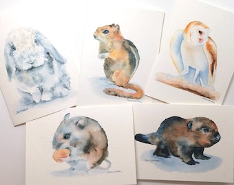 Woodland Animal Watercolor Card Set Greeting Cards 5 x 7 | Etsy