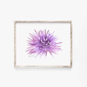 Sea Urchin Watercolor Print - Unframed