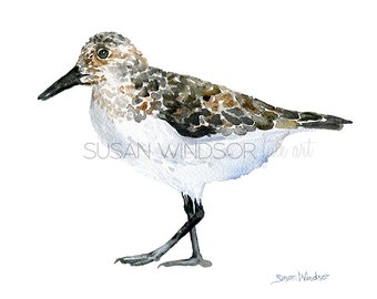 Sandpiper Watercolor Painting Giclee Print - Beach Painting Bird Art UNFRAMED