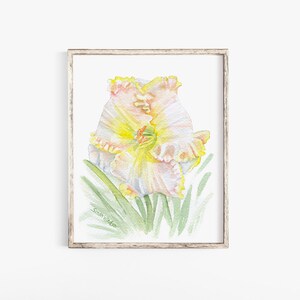 Daylily Watercolor Giclee Reproduction Print Wall Decor UNFRAMED