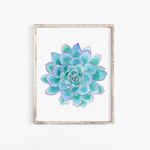 Succulent Watercolor Painting Giclee Print Aqua Blue UNFRAMED