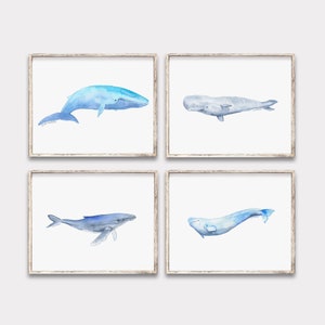 Whale Variety Watercolor Painting Art Prints Set of 4 Unframed