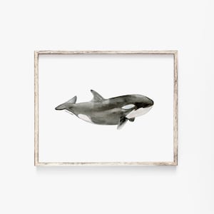 Orca Calf Killer Whale Watercolor Painting - Giclee Print Ocean Sea life Painting Unframed