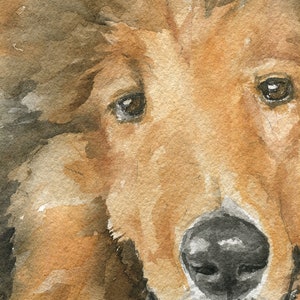 Collie Watercolor Painting Giclee Print Preproduction Reveille Portrait A&M UNFRAMED afbeelding 3