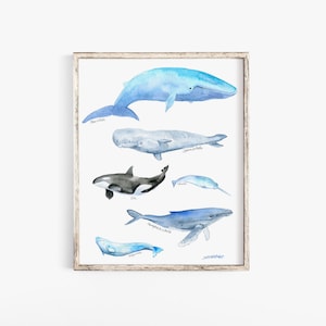 Whale Watercolor Painting Giclee Print Reproduction Fine Art Print Wall Art UNFRAMED