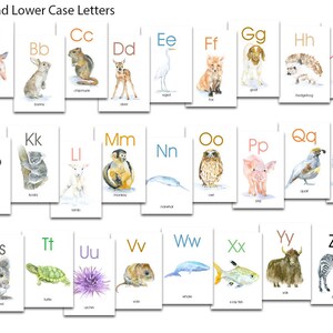 Animal Alphabet Flash Cards Watercolor Animals ABC Watercolor Flash Cards A-Z Upper and Lower Case