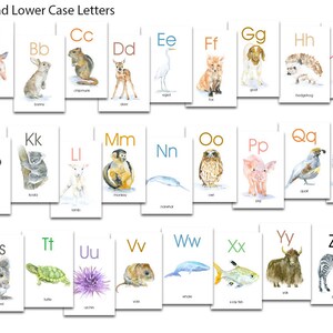 Animal Alphabet Flash Cards - Watercolor Animals - ABC - Watercolor ...