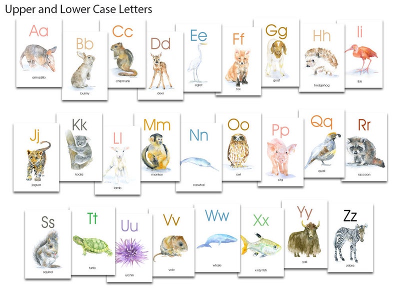 May include: Flashcards with watercolour animal illustrations, each paired with an upper and lower case letter. The cards display the alphabet from A to Z, with animals like armadillo, bunny, and zebra.
