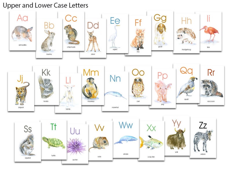 Animal Alphabet Flash Cards Watercolor Animals ABC Watercolor Flash Cards A-Z Upper and Lower Case