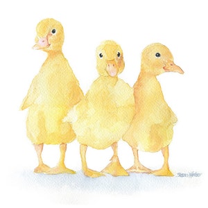 Three Ducklings Watercolor Painting Fine Art Print Giclee Print LANDSCAPE Orientation UNFRAMED image 2