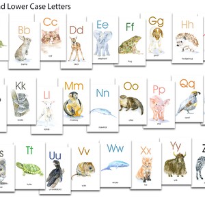 Tarjetas didácticas del alfabeto de animales - Animales con acuarela fonética - ABC - Tarjetas didácticas con acuarela - A-Z