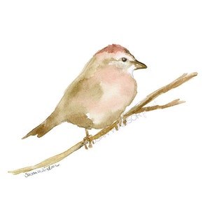 Sparrow Watercolor Painting Giclee Reproduction - Woodland Animal - Bird Art UNFRAMED