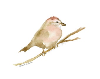 Sparrow Watercolor Painting Giclee Reproduction - Woodland Animal - Bird Art UNFRAMED