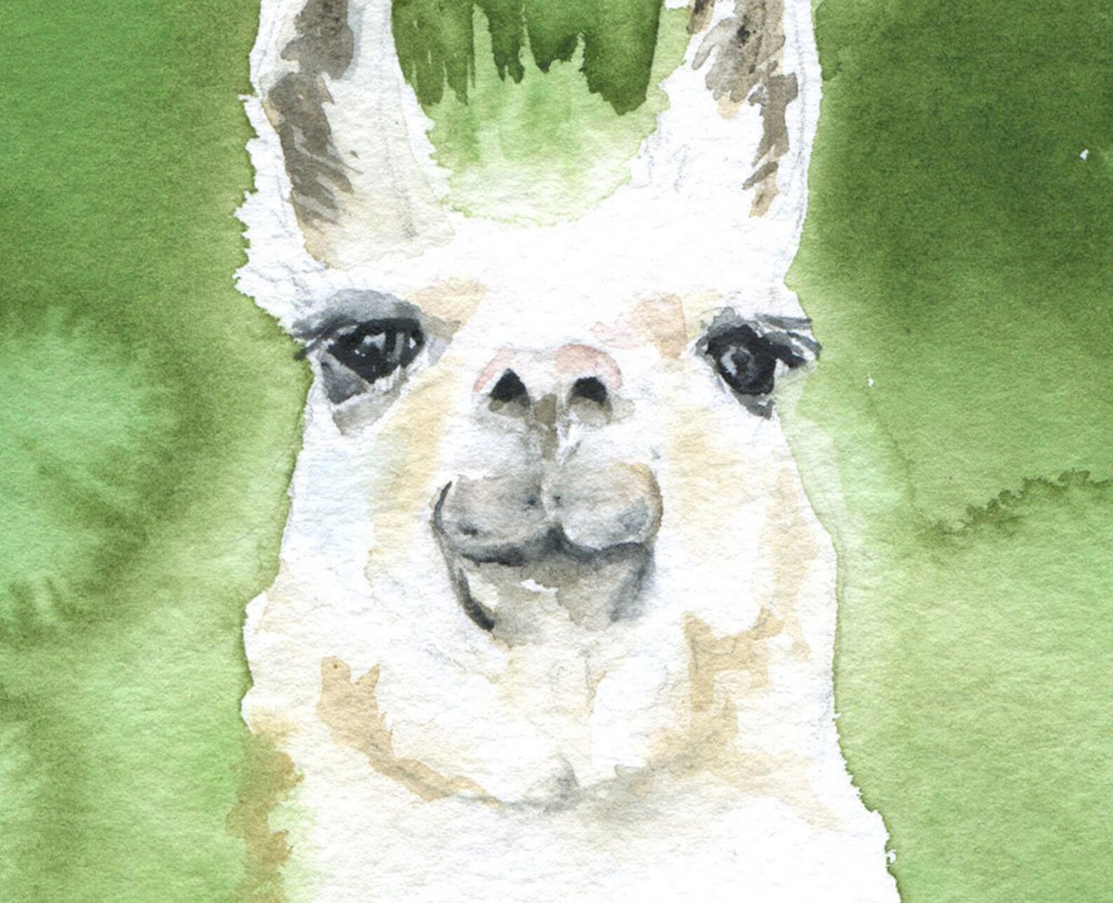 Llama Watercolor Painting Fine Art Print 5 X 7 - Etsy