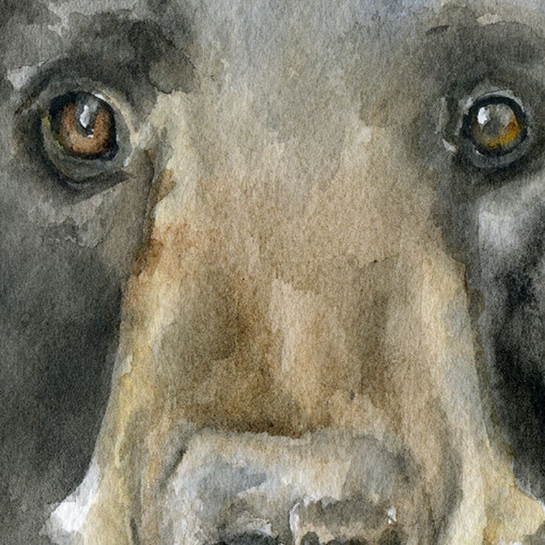 Black Bear Watercolor Painting Giclee Print Fine Art Print Unframed image 3
