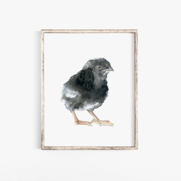 Baby Chick Watercolor Painting- 5 x 7 - Nursery Art - Giclee Print Reproduction - Farmhouse Barred Rock Chicken UNFRAMED