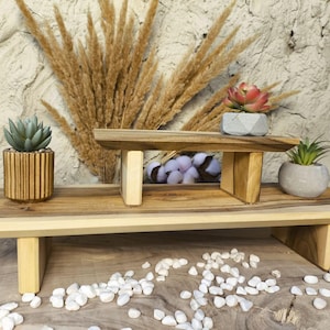 May include: A wooden plant stand with three small potted succulents. The stand has a natural wood finish and a tiered design. White pebbles are scattered around the base of the stand. Dried grasses are in the background.