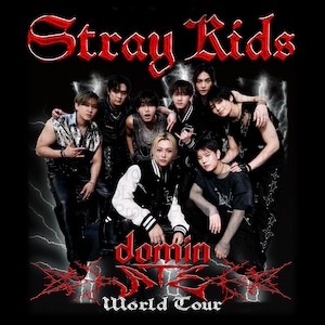 May include: A group of eight men in black clothing pose for a photo. The men are all wearing black clothing with silver accents. The background is black with red lightning bolts and the text "Stray Kids" in red. The text "domin" and "World Tour" are also in red.