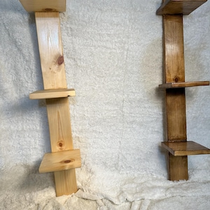 Trinket Shelf
