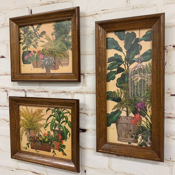 1970s Framed Art Print Set - Botanical, Fern, Houseplants