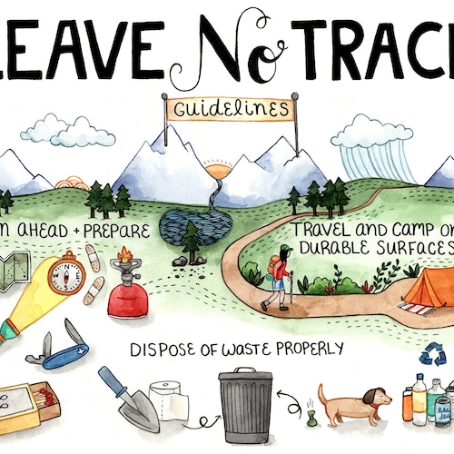 Leave No Trace Printable Activity for Kids forest School | Etsy