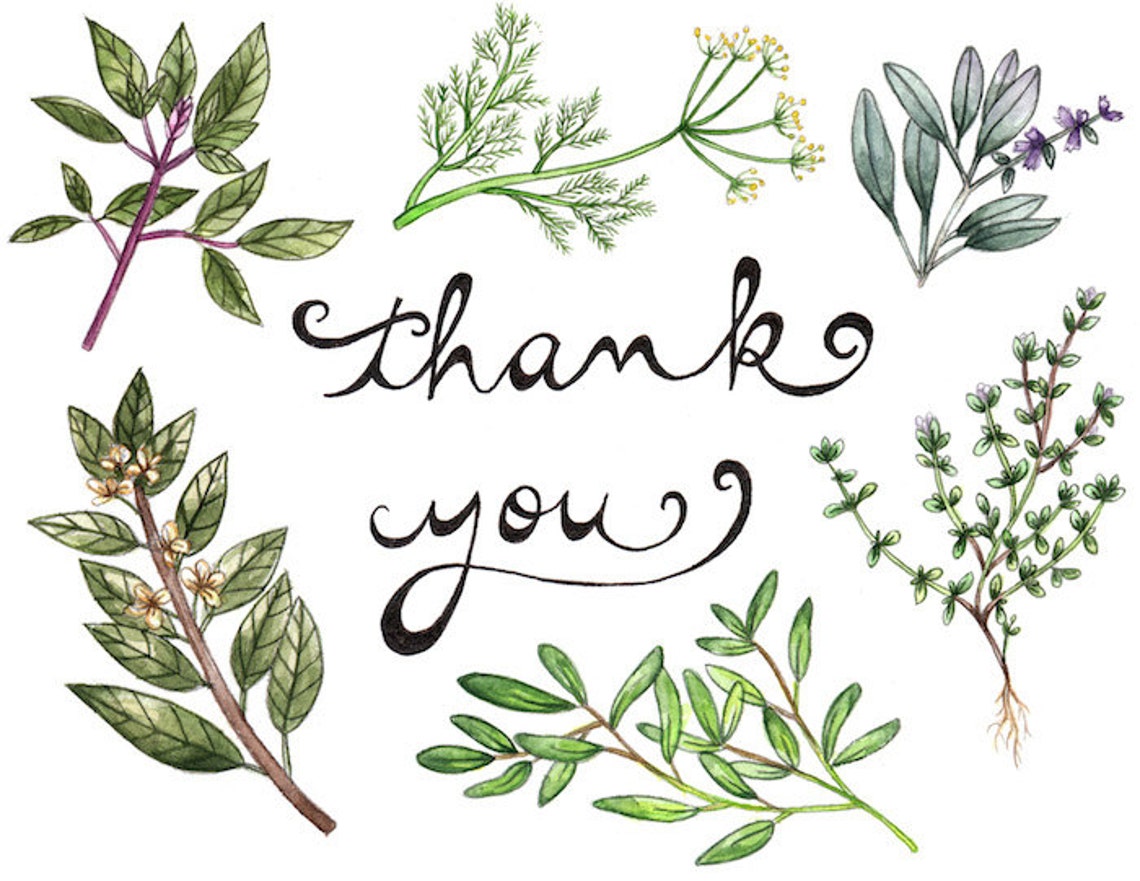 Thank You Cardherbs Etsy