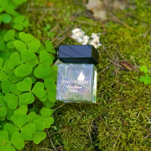 Pode incluir: Uma garrafa de vidro transparente e quadrada com tampa preta, rotulada como "Living Forest Home fragrance". A garrafa está sobre um leito de musgo verde e é rodeada por trevos verdes brilhantes.